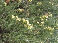 09-07-2008 : 06, Arrêt nø21, bord de route