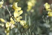 09-07-2008 : 06, Arrêt nø21, bord de route