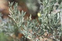 09-07-2008 : 06, Arrêt nø21, bord de route