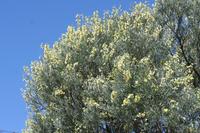 09-07-2008 : 06, Arrêt nø21, bord de route