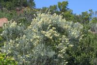 09-07-2008 : 06, Arrêt nø21, bord de route