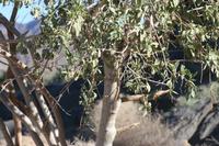 09-11-2008 : 10, Arrêt nø43, Orange River