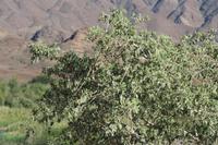 09-11-2008 : 10, Arrêt nø43, Orange River