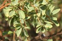 09-18-2008 : 17, Arrêt nø88, Omaruru