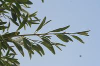 09-18-2008 : 17, Arrêt nø88, Omaruru