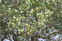 09-18-2008 : 17, Arrêt nø88, Omaruru