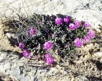 10-05-2003 : 10, Arrêt nø38, On continue la route