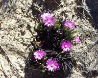 10-05-2003 : 10, Arrêt nø38, On continue la route