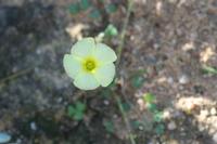 09-04-2008 : 03, Arrêt nø10, 2km avant Clanwilliam R364