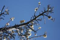 09-22-2008 : 21, Arrêt nø97, de Etosha Namutoni à Windhoek
