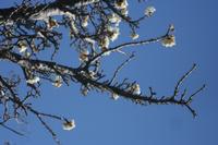 09-22-2008 : 21, Arrêt nø97, de Etosha Namutoni à Windhoek