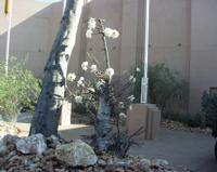 10-15-2003 : 20, Arrêt nø72, Windhoek 1700m avec Ian Oliver