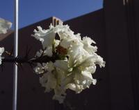 10-15-2003 : 20, Arrêt nø72, Windhoek 1700m avec Ian Oliver