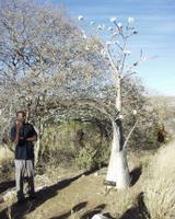 10-18-2003 : 23, Arrêt nø91, National Botanical garden de Windhoek