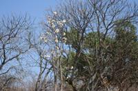 09-22-2008 : 21, Arrêt nø97, de Etosha Namutoni à Windhoek