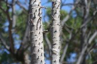 09-22-2008 : 21, Arrêt nø97, de Etosha Namutoni à Windhoek