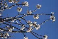 09-22-2008 : 21, Arrêt nø97, de Etosha Namutoni à Windhoek