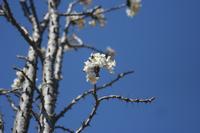 09-22-2008 : 21, Arrêt nø97, de Etosha Namutoni à Windhoek