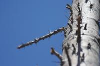 09-22-2008 : 21, Arrêt nø97, de Etosha Namutoni à Windhoek