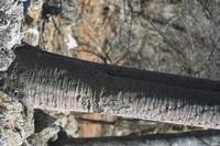 09-22-2008 : 21, Arrêt nø97, de Etosha Namutoni à Windhoek