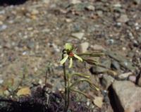 10-05-2003 : 10, Arrêt nø38, On continue la route