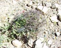 10-05-2003 : 10, Arrêt nø38, On continue la route