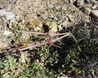 10-05-2003 : 10, Arrêt nø38, On continue la route