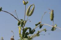 09-18-2008 : 17, Arrêt nø91, Brandberg, la vallée