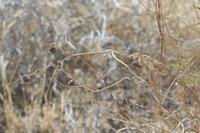 09-16-2008 : 15, Arrêt nø69, autre bord de route