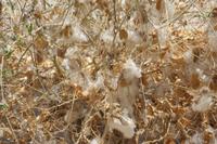 09-18-2008 : 17, Arrêt nø88, Omaruru