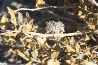 09-16-2008 : 15, Arrêt nø69, autre bord de route