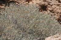 09-16-2008 : 15, Arrêt nø68, bord de route