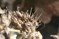 09-16-2008 : 15, Arrêt nø68, bord de route