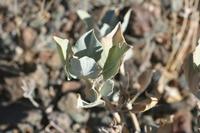 09-16-2008 : 15, Arrêt nø68, bord de route