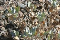 09-16-2008 : 15, Arrêt nø68, bord de route