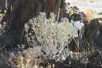 09-16-2008 : 15, Arrêt nø68, bord de route