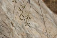 09-18-2008 : 17, Arrêt nø85, Etusis lodge