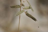 09-18-2008 : 17, Arrêt nø85, Etusis lodge