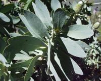 10-05-2003 : 10, Arrêt nø36, Route le long de la Grootrivier