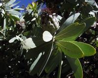 10-05-2003 : 10, Arrêt nø36, Route le long de la Grootrivier