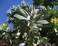 10-05-2003 : 10, Arrêt nø36, Route le long de la Grootrivier