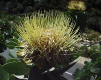 10-05-2003 : 10, Arrêt nø36, Route le long de la Grootrivier