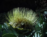 10-05-2003 : 10, Arrêt nø36, Route le long de la Grootrivier