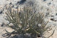 09-11-2008 : 10, Arrêt nø49, Colline avec château d'eau à Rosh Pinah