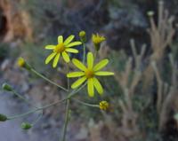 10-05-2003 : 10, Arrêt nø38, On continue la route