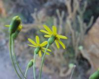 10-05-2003 : 10, Arrêt nø38, On continue la route