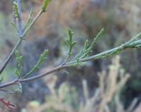 10-05-2003 : 10, Arrêt nø38, On continue la route