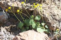 09-11-2008 : 10, Arrêt nø43, Orange River