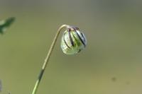 09-04-2008 : 03, Arrêt nø8, Piketberg, bord de route