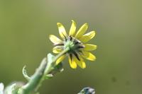 09-04-2008 : 03, Arrêt nø8, Piketberg, bord de route
